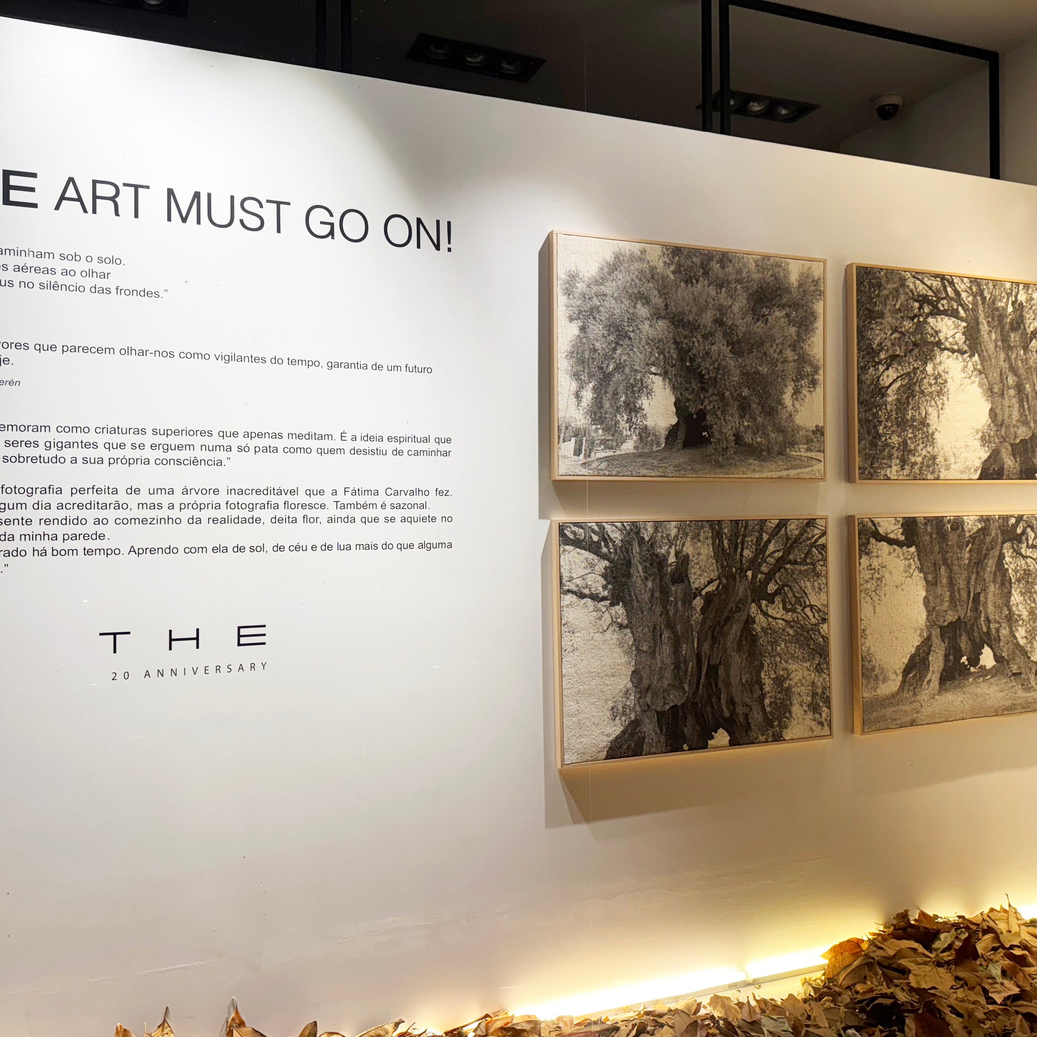 ÁRVORES VIGILANTES DO TEMPO BY FÁTIMA CARVALHO